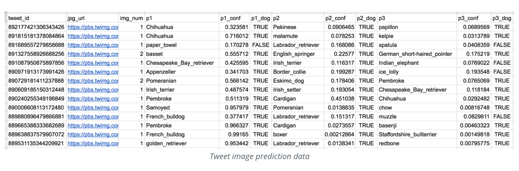 Snapshot of Image Predictions File